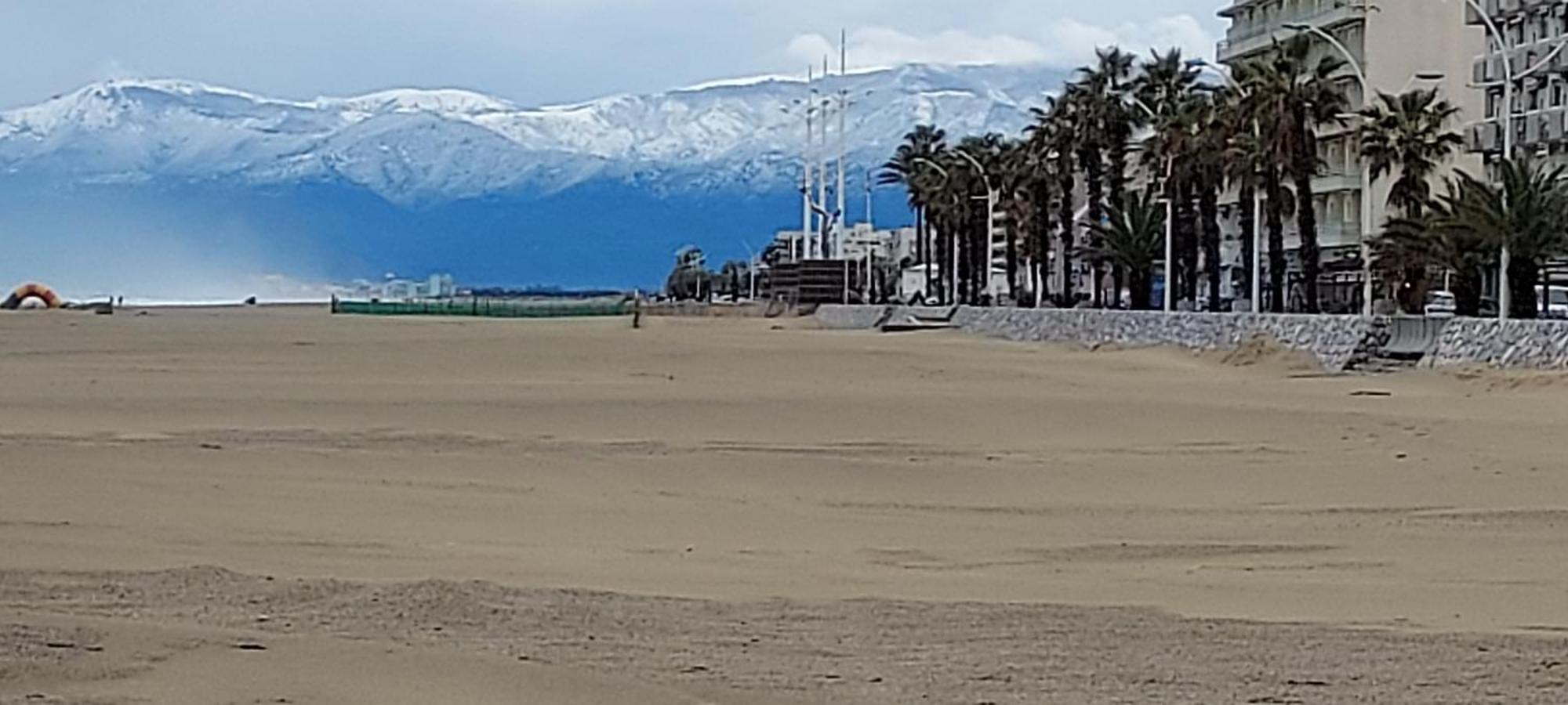 Chambres D'Hotes Un Ete Sans Fin A 50 M De La Plage A Canet Plage מראה חיצוני תמונה
